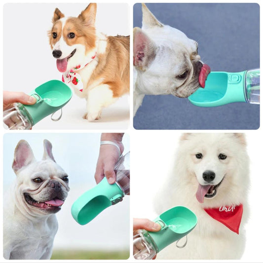 Gourde compacte pour chien - NAYELO